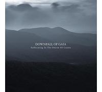 Downfall Of Gaia - Suffocating In The Swarm Of Cranes