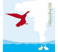 Sufjan Stevens - Enjoy Your Rabbit (2 LP)