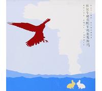 Sufjan Stevens - Enjoy Your Rabbit