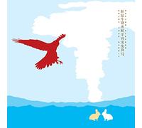 Sufjan Stevens Enjoy Your Rabbit (Vinyl) 12" Album