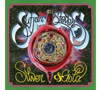 Sufjan Stevens Silver & Gold (CD) Limited Box Set (Importación USA)