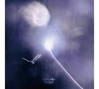 Sugar Plant - Headlights [Vinyl LP]
