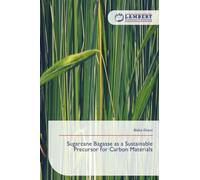 Sugarcane Bagasse as a Sustainable Precursor for Carbon Materials