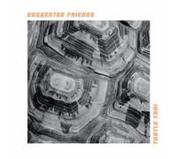 Suggested Friends Turtle Taxi (CD) Album