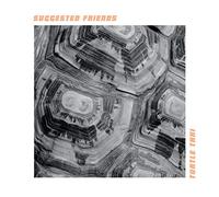 Suggested Friends - Turtle Taxi [Vinilo]