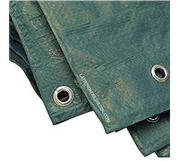 Suinga TOLDO Reforzado Verde 4 x 6 m, Lona de jardineria 90 gr/m2