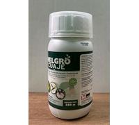 Suinga Welgro Cuaje de 250cc, aminoácidos para aplicación foliar y radicular. Potencia la polinización y el cuaje