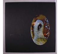 Sula Bassana - Dreamer (10th Anniversary) [Import] [Vinilo]