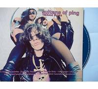 Sultans Of Ping F.C. - Teenage punks
