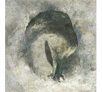 Suma – Ashes – CD – Integral