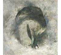 Suma – Ashes – CD – Integral
