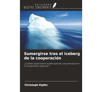 Sumergirse tras el iceberg de la cooperación: ¿Cuánta organización puede soportar una parroquia en la cooperación regional?
