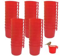 Suministros de Gallo de Campo de Juego, alimentador de Paloma de plástico de 50 Piezas, alimentador de Pollo Colgante, Suministros de alimentación y riego de Aves fáciles de Eliminar para Aves