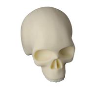 Suministros de silicona para práctica de calaveras para principiantes, belleza, maquillaje, accesorios permanentes, accesorios para artistas