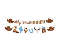 Suministros para fiestas de cumpleaños con temática de caballo, varios con diseño de caballos y banderas y más