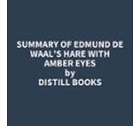 Summary of Edmund De Waal's Hare with Amber Eyes
