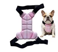 Summer Cooling Vest For Small Medium Dogs Cats, Contact Cooling UV Protection Evaporative Technology, Reversible Adjustable Size For Outdoor Walks, Pet Heat Relief