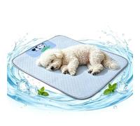 Summer Heat Relief Mat For Puppies And Kittens, Fits Crates, Kennels, Couch