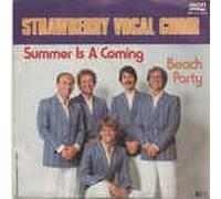 Summer Is A Coming/Beach Party (7" Vinyl Single)(1982)(Avon INT 111.573)