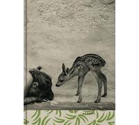 Summer of fawn