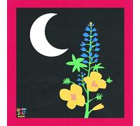 SUMMER SALT - RESIDE [Vinilo]