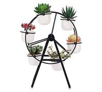 SUMNACON Soporte de cerámica para plantas suculentas con rueda de la fortuna y maceta, color negro (no incluye planta)