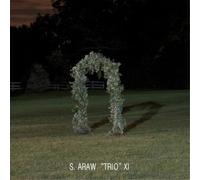 Sun Araw 'Trio' XI Gazebo Effect (Vinyl) 12" Album