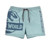 SUN CITY Disfraz de pantalón corto Jurassic World, dinosaurios, bermudas de playa para niño 3/8 años, gris