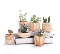 Sun-E SE-E - Juego de 6 macetas de cerámica con patrón de Madera de 7,6 cm para suculentas, Cactus, Maceta, Maceta, Maceta, Maceta para Regalo, Idea de Regalo