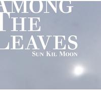 Sun Kil Moon - Among The Leaves