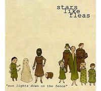 Sun Lights Down on the Fence