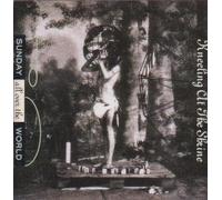 Sunday all over the World - Kneeling at the shrine