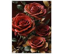 Suneve Rosa de parterre Pintura Diamante Adultos Principiante,Bricolaje 5D Round Diamond Painting Kit Completo,diamond painting Manualidades Para Decoración de Hogar Pared Regalo 105x135cm