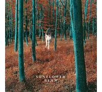 Sunflower Bean - I Hear Voices / The Stalker 7" [Vinilo]