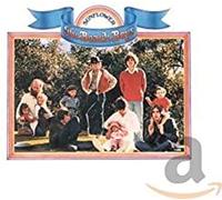 sunflower / surf's up - beach boys