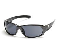 Sunglasses Harley Davidson HD 913 X HD 0913 X 20A grey/other / smoke