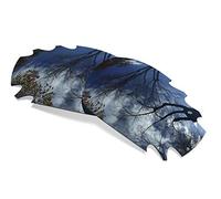 sunglasses restorer Lentes de Recambio Compatibles para Oakley Racing Jacket Ventilada