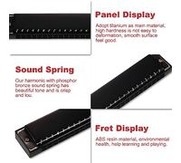 SUNGOOYUE Armónica Profesional, Llave de la Armónica C 24 Hole, Adecuada para el Maestro de Estudiantes de Música Principiante, ABS de Metal, 175 * 29 * 21 Mm (BLACK)