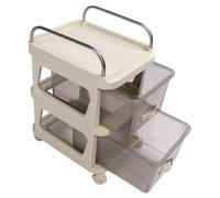 SUNGOOYUE Cajonera Moderna con Ruedas con Gran Espacio de Almacenamiento, Archivador Móvil para Dormitorio de Oficina, Material de PP y Acero Inoxidable (2 Niveles)