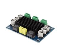 SUNGOOYUE Placa Amplificadora de Potencia Mono de 100 W, Módulo AMP de 1 Canal con Chip TPA3116D2 y Disipador de Calor, para de Sonido DIY Altavoz de Cine en Casa