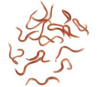 SUNGOOYUE Señuelo de Pesca Artificial, Cebo Blando de PVC de 10cm con Olor a Pescado, 17 a 18 Uds., Cebo con a Tierra con Caja para Pescadores de Lubina y Trucha