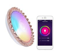 SUNGOOYUE Smart LED Ceiling Light Voice Control | Luz de techo LED inteligente para el control de voz del dormitorio 16 millones de colores propietarios de viviendas del