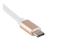 SUNGOOYUE USB 3.1 Tipo C Reversible para el Adaptador VGA Multiport Fácilmente para 12 Pulgadas Portátil Use Aluminio Dorado (GOLD)