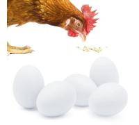 SunGrow Paquete de huevos de pollo de madera, color blanco real, 5 unidades por paquete