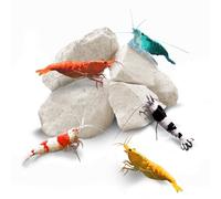 SunGrow Piedras Minerales para Acuario, Mejorador del Color de Mascotas, Calcio Ayuda en la Muda, Sirve como Snack Nutricional, Mejora la Calidad del Agua para Camarones, Cangrejos y Caracoles, 2 oz.