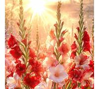 Sunlight Plants Flowers 1000 Piece Jigsaw Puzzles for Adults 65x65cm, Adult Jigsaw Puzzles 1000 Pieces, Challenging&Brainteasing Puzzle Family Games, Beautiful Decoration Puzzle