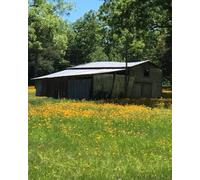 Sunlit Susans & Small Town Days: Part of the Earth & Ember Journal Series