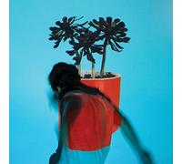 Sunlit Youth [Vinilo]