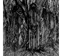 Sunn O - Black One