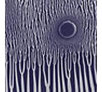 Sunn O - The Grimm Robe Demos